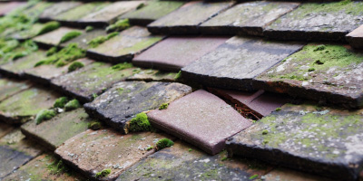 Llandovery roof repair costs